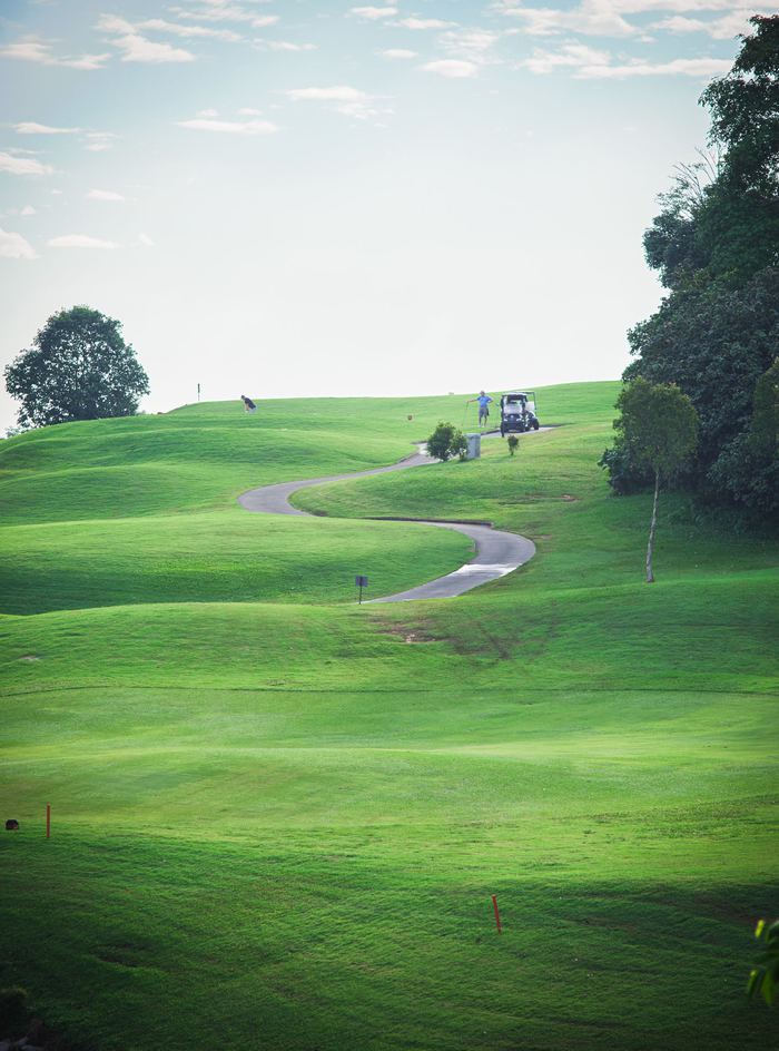 A golf course with a winding path and trees