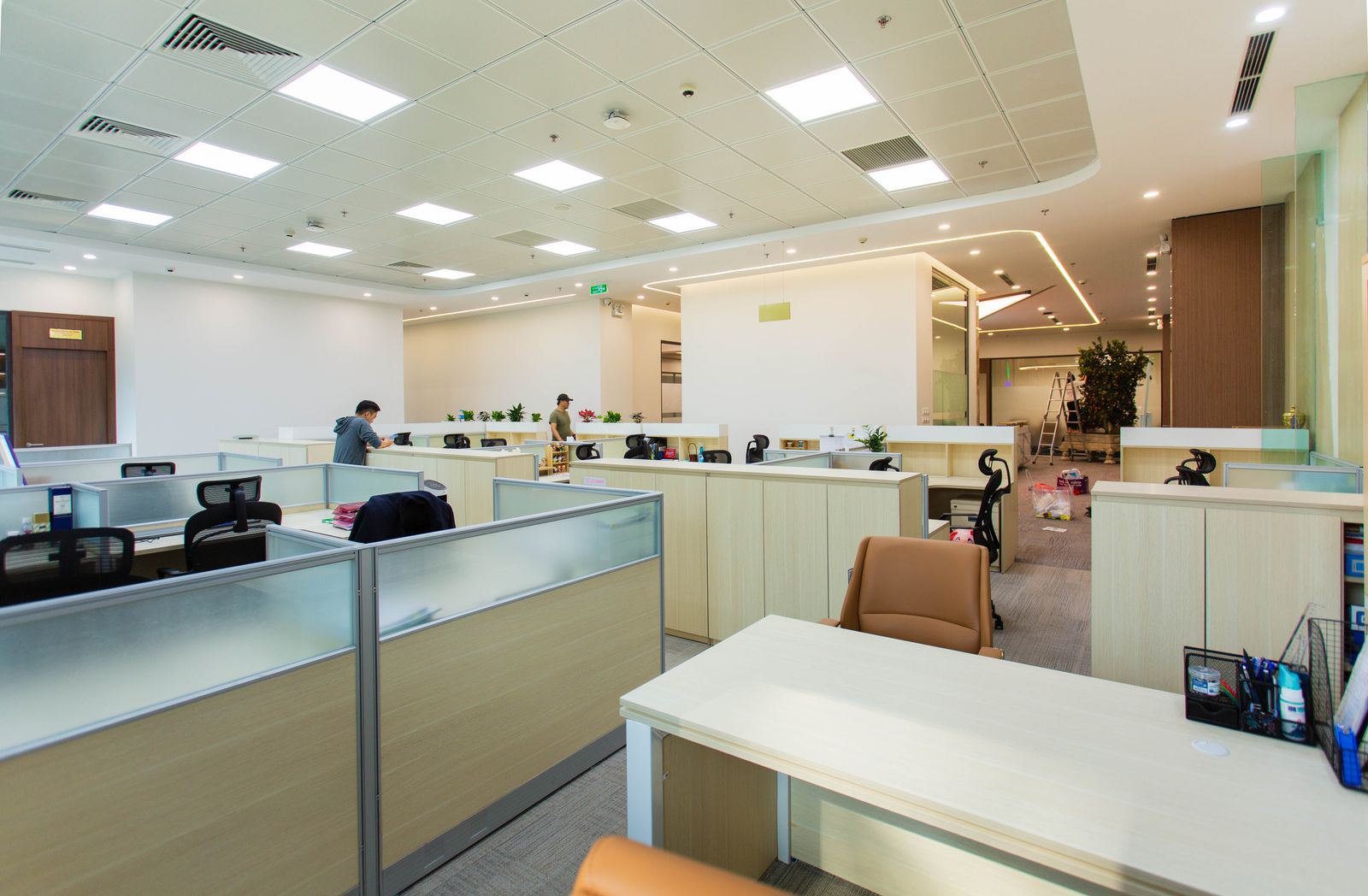 A bright open-plan office interior